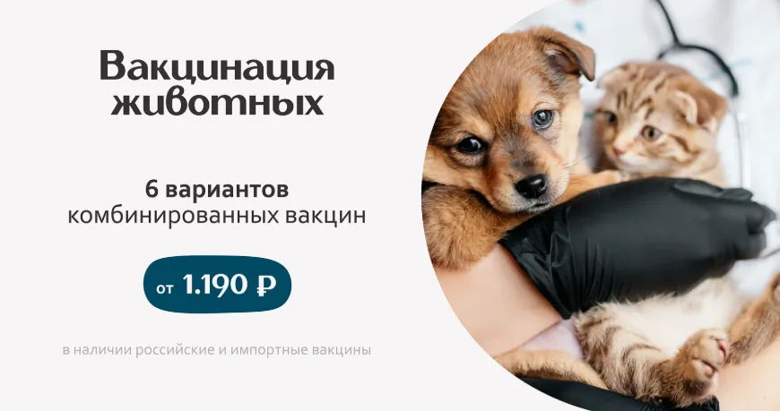 Вакцинация жвиотных