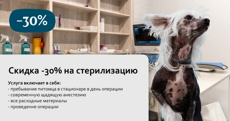 Стерилизация животных