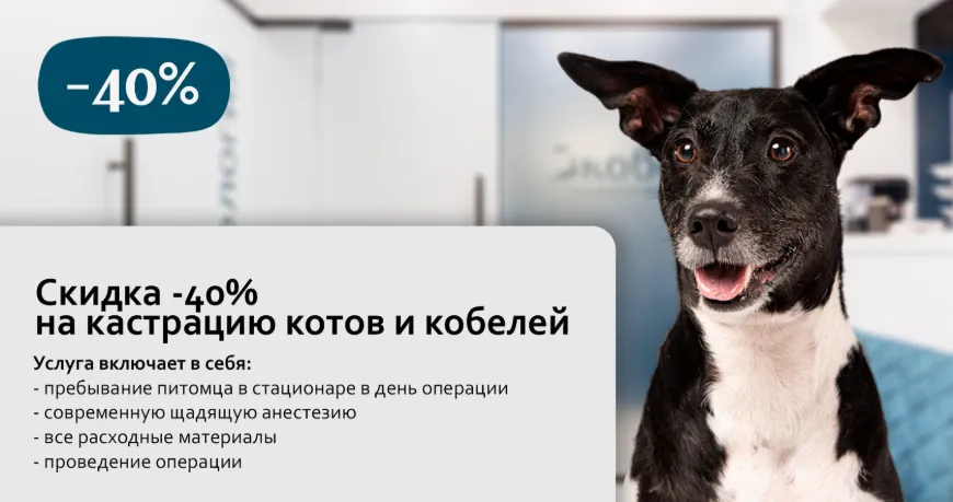 Кастрация животных